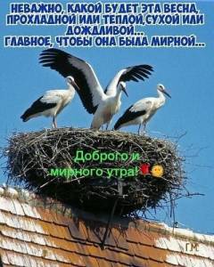 nevazhno-kakaya-pogoda-glavnoe-chtoby-vesna-byla-mirnoj-dobrogo-i-mirnogo-utra.gif