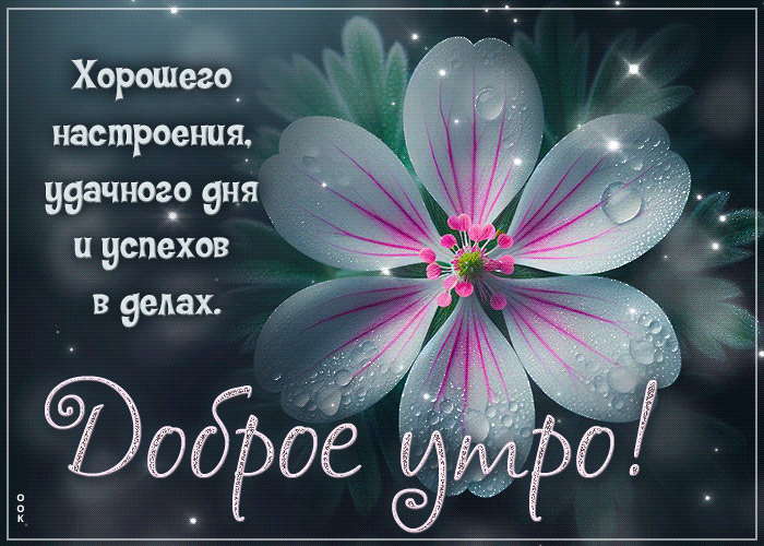 xorosego-nastroeniya-udacnogo-dnya-i-uspexov-v-delax-dobroe-utro-181630.gif