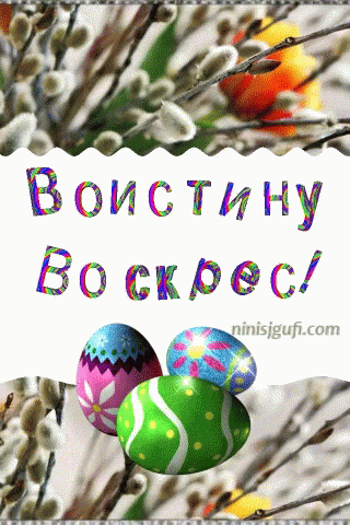 018cba20d9167ffe6f33f99f9288e558.gif