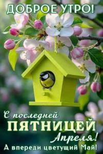 доброе утро пятница.jpg