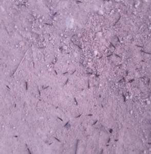 20260420_204522.thumb.jpg.a9d6d80c3f3681abc42bd62be1b261f3.jpg