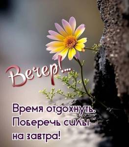 3bd29344f9f7e833df550c5a078b7cf8.jpg