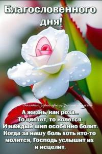 27ee4ce0ab6bd46adc6dcbadb9382aec (1).jpg