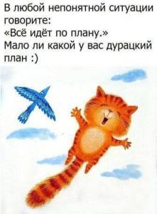 542d10115ca77cc2c0cd263fe4e1c220.jpg