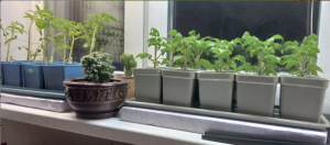 Скриншот 16-04-2026 223608.png