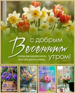5b1c062b75056a8a933ca9604ca8602f.jpg