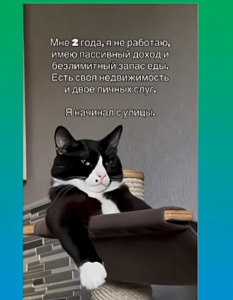 Screenshot 2026-04-15 at 20-35-11 (30) Начинал с улицы! #кошкимышки #catshorts #гумор #юмор #animals ##koshki-miski - YouTube.png