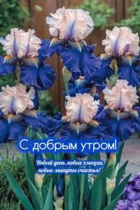 доброе утро 22.04.4.jpg