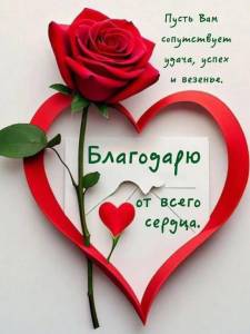 98390d8c20715dd15509b3a61ca8b6ed.jpg