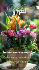 98ed695c631a2e39246b381075a3f483.thumb.jpg.754f796fd13a43d8b3e7b6d3da6e1f7c.jpg