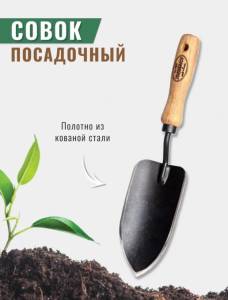 IMG_0305.thumb.jpeg.08c778440b6c59f411b75bd7d940f220.jpeg
