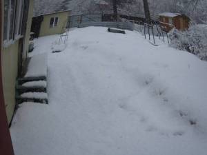IMG_1288.thumb.JPG.337982705e48d5cb92d4b06f6eedfcbb.JPG