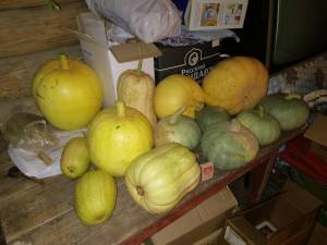 IMG_20250915_082446.thumb.jpg.52b1f5f3b463826e5ba7a552c5017f49.jpg