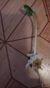 IMG_20260414_184135_edit_32227069501923.jpg
