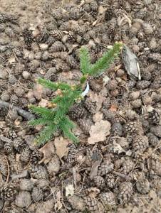 IMG_20260419_103110.jpg