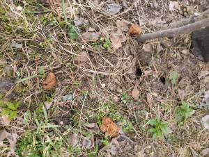 IMG_20260419_103517.jpg