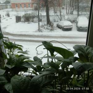 IMG_20260420_075046.thumb.jpg.ba1d9ad091abebad602be3f12e78ace1.jpg