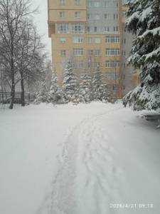 IMG_20260421_091821.jpg