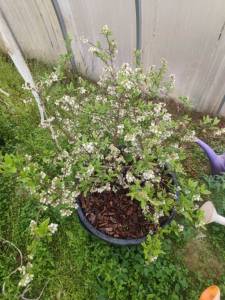 IMG_20260426_074035.jpg