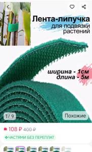 IMG_20260428_194947.jpg