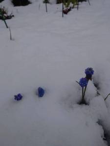 IMG_20260430_155532_003.thumb.jpg.b0c69034c9a32f03978e16ca76a7acae.jpg