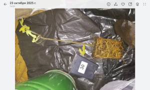 Screenshot_20260405_061420_com.huawei.photos.thumb.jpg.a1a8d2a88893b9a18ab87e87d414f674.jpg