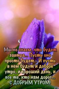 ac96d7523fc1e276550b4eb33e4fc198.jpg
