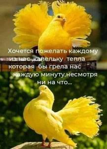 bf88078b051e89af0a3b20990d44b9fc.jpg