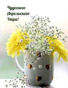 createpics_ru_9354.thumb.jpg.2a24eb399c84ee75c22aa706a9c81811.jpg
