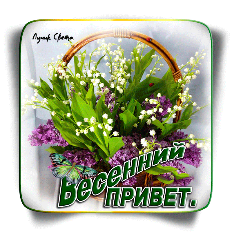 dobroe-utro-pyatnitsa-vesennie-44.gif