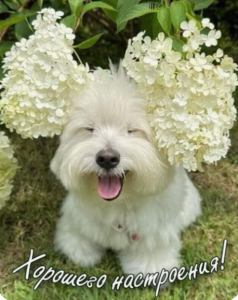 image.thumb.png.403c60ff2eba4a0b02813785166b8b43.png