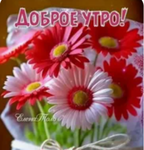 image.thumb.png.53d8fc3f89cd2f525b77f7b41134554d.png