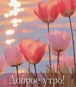 image.thumb.png.62cb2f246555587fa64a7f9743bf9718.png