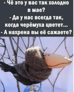 image.thumb.png.91656a153a150a0c4b7fce72b05cf63a.png