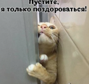 image.thumb.png.c8dd99b75b51c24e30f962ca4be056b6.png