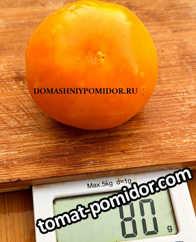 large.1616530103_0_30.png.c425a6bbb64a36436944bd4610172186.png