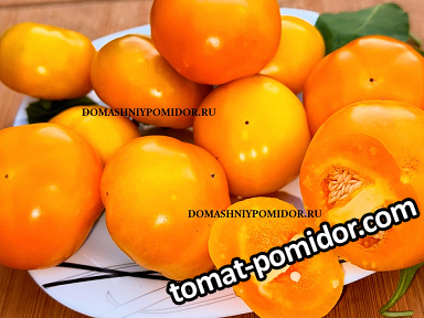 large.82191338_030.png.d2e7b3507f2a5606ecabe1e62ed2c810.png