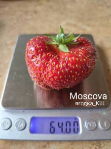 moscova.thumb.jpg.82562ccc6a70581a4940a558953ca3ba.jpg