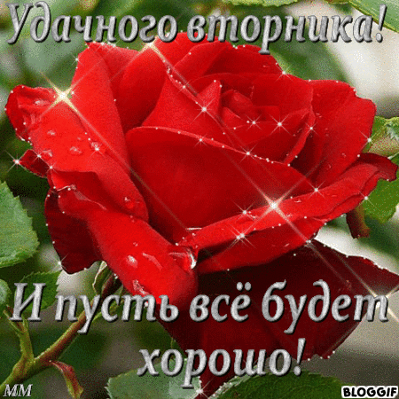 vtornik-otkrytki-pro-vtornik-otkrytki-s-pozhelaniyami-na-kazhdyy-den-nedeli-s-ponedelnika-po-voskre-162.gif