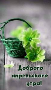 wishpics_ru_3892.jpg