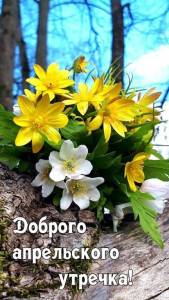 wishpics_ru_3913.jpg