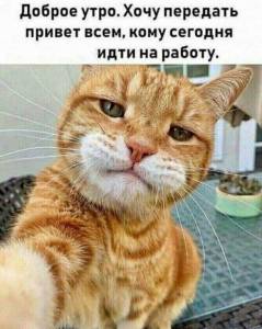 007b35053bf1d431e953c0af661b6168.jpg
