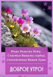 08120b7b0e5e43e999f5344857aa608b.jpg