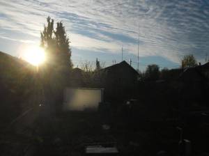 1.thumb.JPG.a95d6fd649400290dc25145c6877511e.JPG