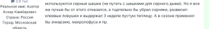 Screenshot 2026-05-07 at 18-16-38 Как изгнать белокрылку из пустой теплицы - Агротехника растений в фермерских и дачных теплицах - GreenTalk.ru.png