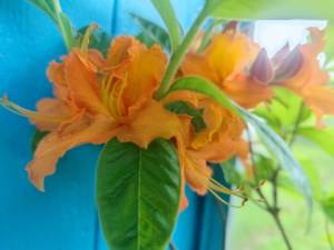 IMG_20260510_132959[1].jpg