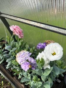 1843969666_IMG_3096.thumb.jpeg.f95a1d5016092ccf647d206d58fd0120.jpeg