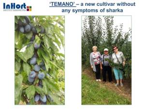 256597161_TEMANO2.thumb.jpg.f1f4d7fe08527e351918c626154d5fc4.jpg
