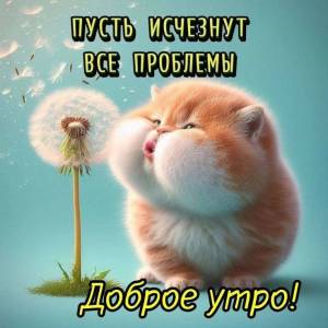 4eb8ca7e93f65c04d448a945f92439e9.thumb.jpg.ea27a2db905819fb6855472b98486a95.jpg