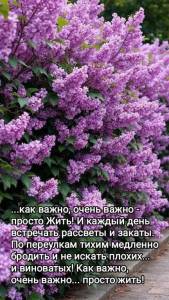 60060ad7bc8f4aba57b6c7d365d72e7b.thumb.jpg.24f4cf0c6014550d0644664faeeeddf1.jpg